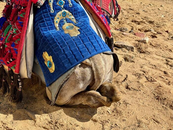 エジプト　ギザ　ギザの三大ピラミッド　パノラマ展望台