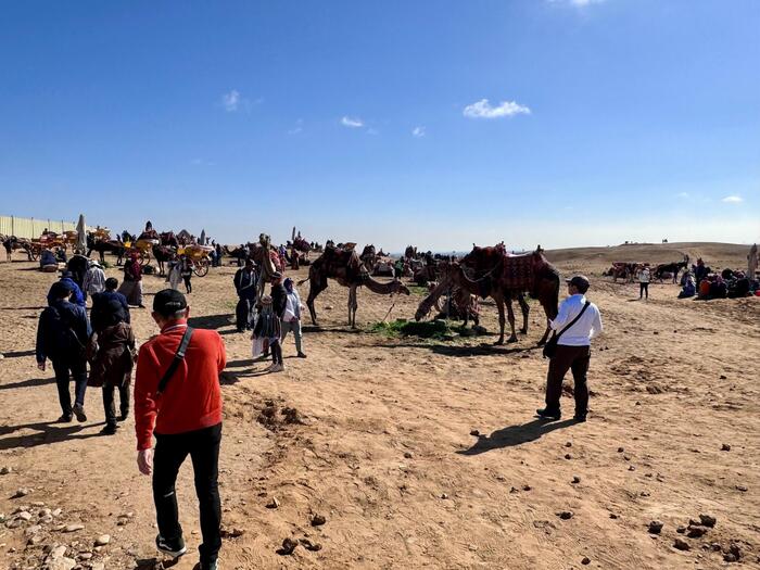 エジプト　ギザ　ギザの三大ピラミッド　パノラマ展望台