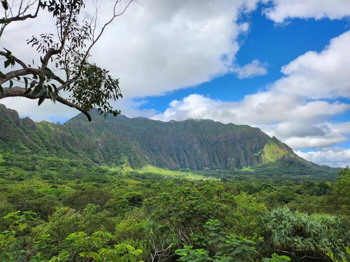 カネオヘの背後にそびえるコオラウ山脈