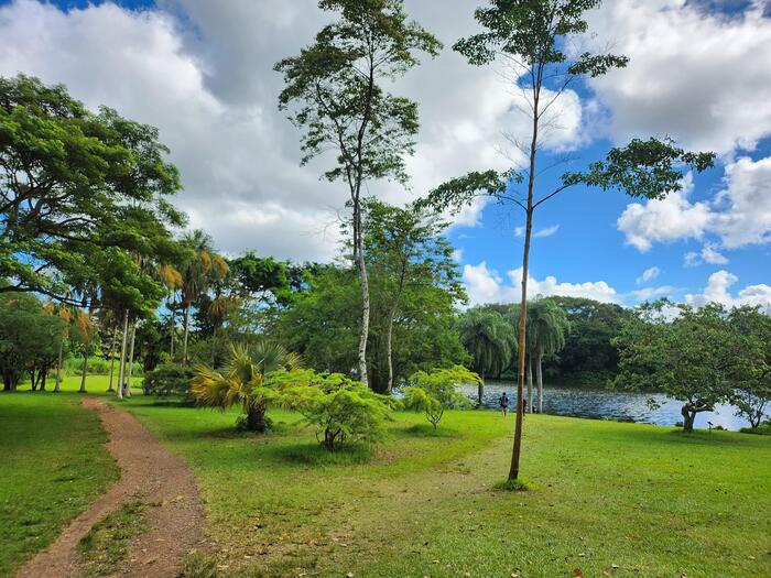 小径を進むと視界がパッと広がり、右手に湖が見えてきます