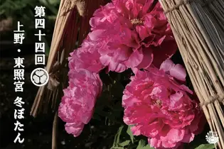 ブログイメージ