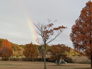 ブログイメージ