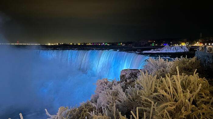 ナイアガラ滝の周辺の草木は氷で覆われています