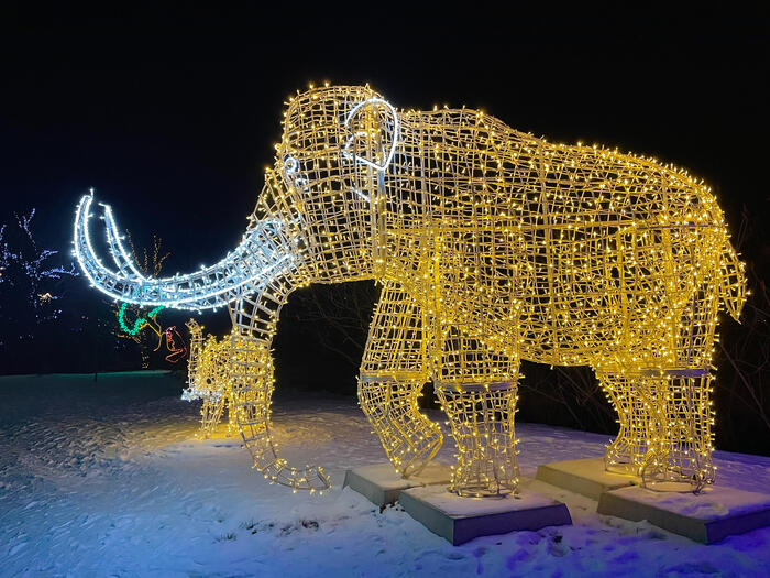 ＜大きなマンモス。後ろはマンモスの子供＞