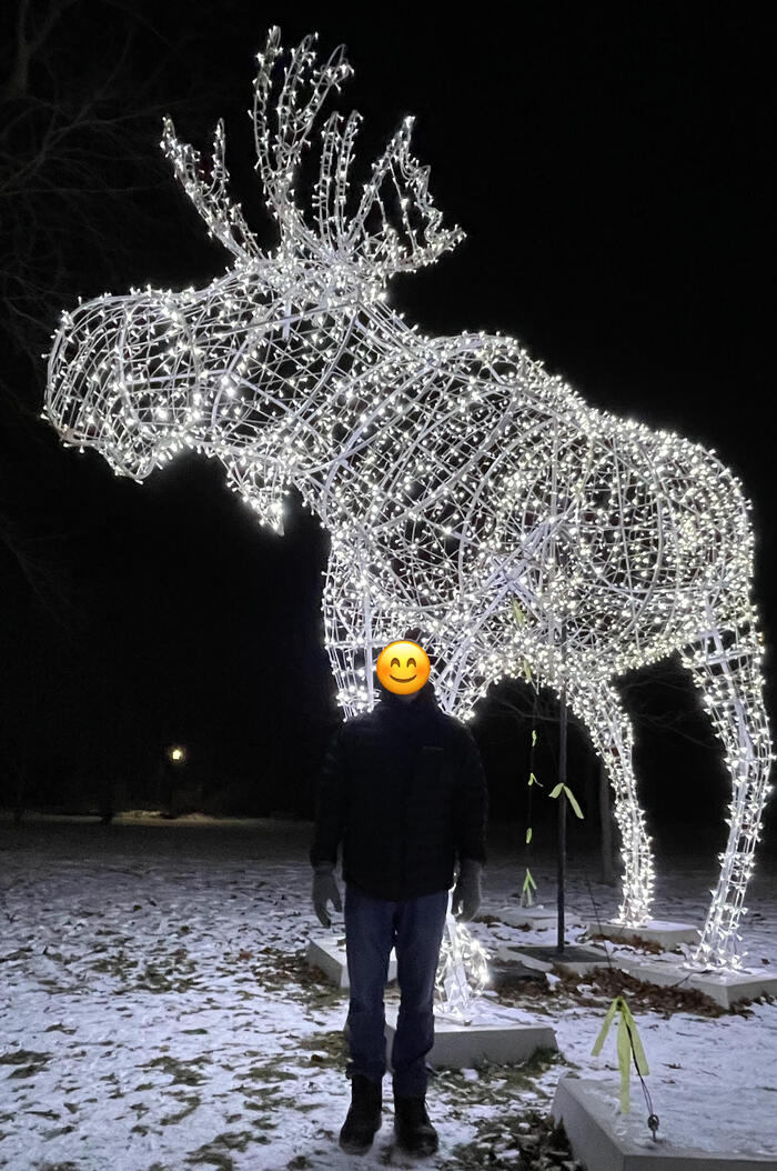 ＜大きなムースのオーナメント＞