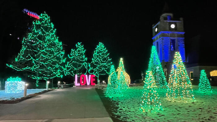 ＜ツリーのライトアップ＞