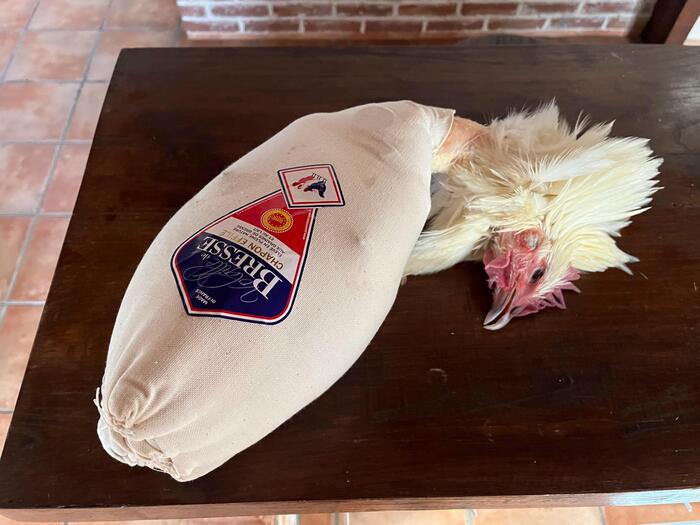 AOC認定のブレスの家禽　丸鶏