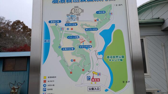 隣接する自然公園がとても楽しい