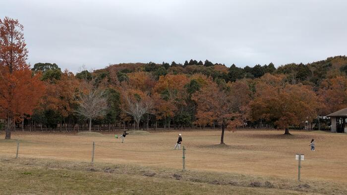 ボールはここのキャンプ場では必須アイテム