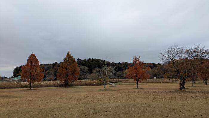 テントサイトは自由に設営可能