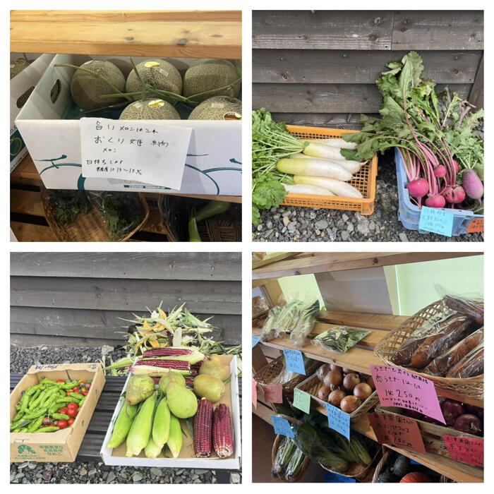 ＜メロンはとても力を入れています。そして見慣れない野菜も多数栽培しています＞