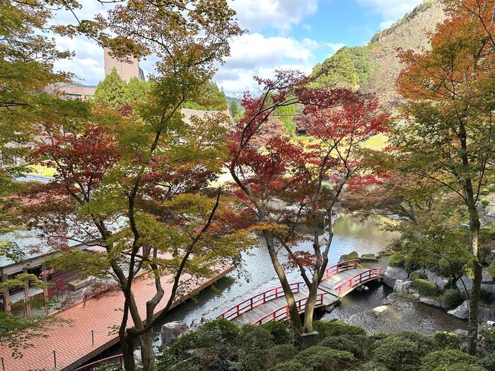 2025年11月末の慧洲園の様子。整備された日本庭園ならではの紅葉は美しさが格別でした