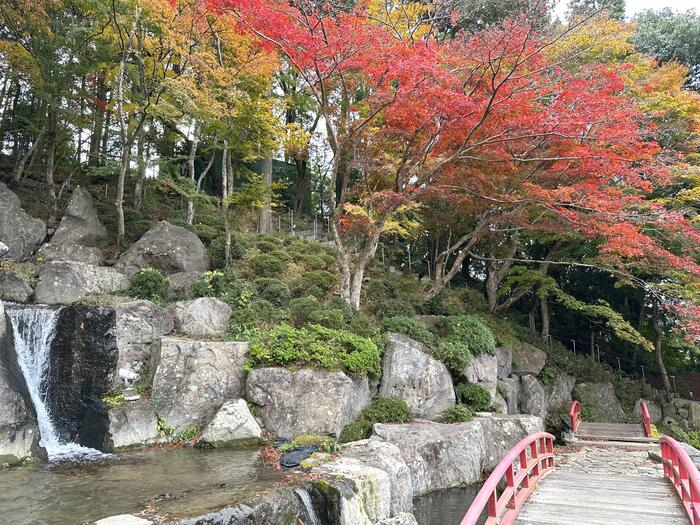 庭園内の紅葉の様子