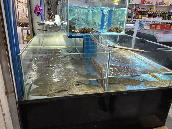 ＜標高3300メートル地点でも海産物は元気＞