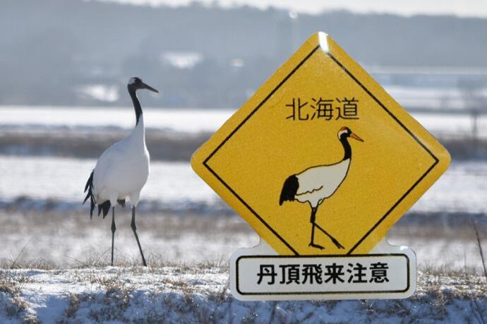北海道限定　ガチャピンズラリー　鶴　
