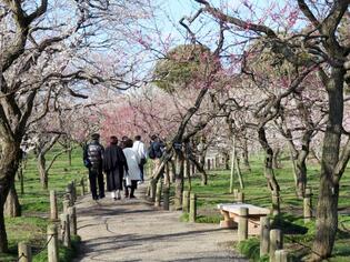 ブログイメージ