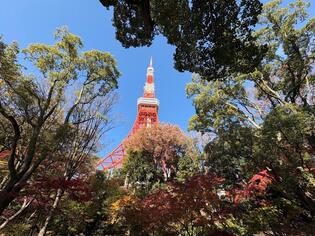 ブログイメージ