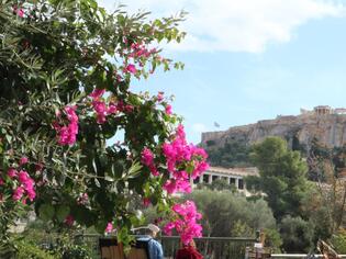 ブログイメージ