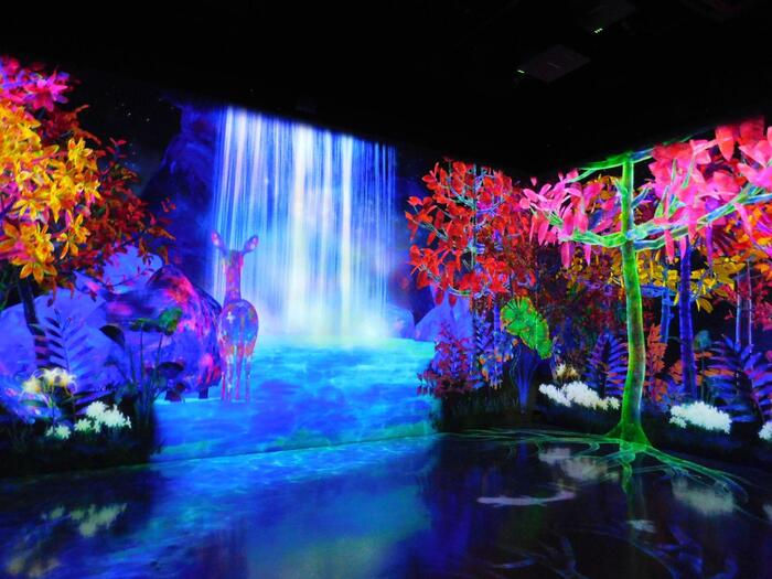 チームラボフォレスト 福岡