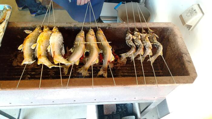 四万十川中流域　鮎塩焼き