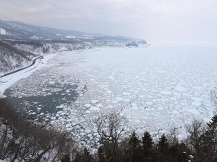 ブログイメージ