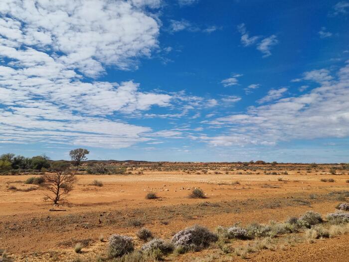 ゴールドラッシュに栄えた町Cue（キュー）乾燥地帯
