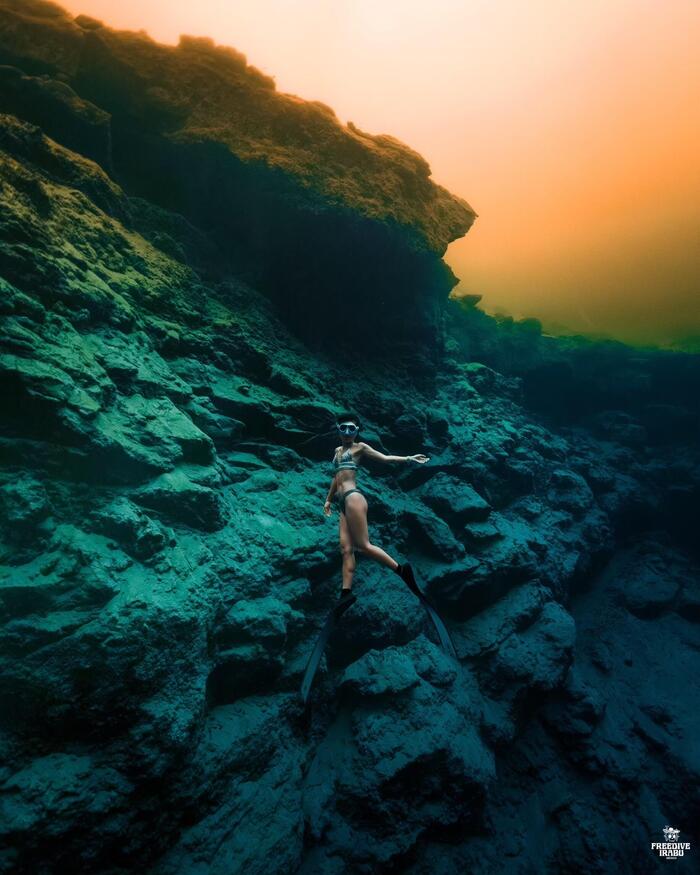Freedive Irabu Mexico（フリーダイブ・イラブ・メキシコ）」