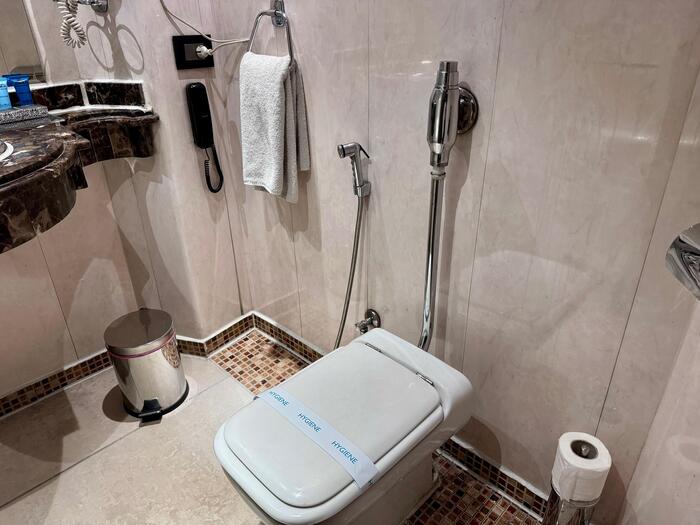 エジプト　アスワン　ルクソール　クルーズ船　セミラミスⅢ