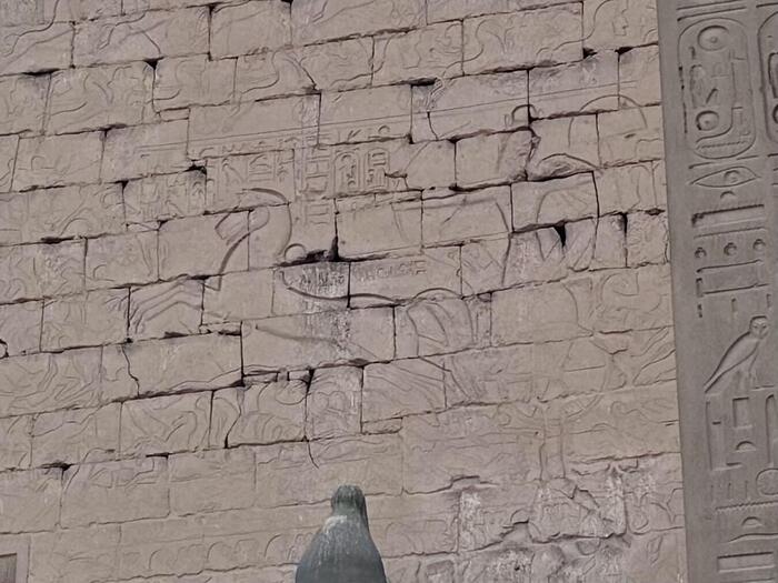 エジプト　ルクソール　ナイル川東岸　ルクソール神殿