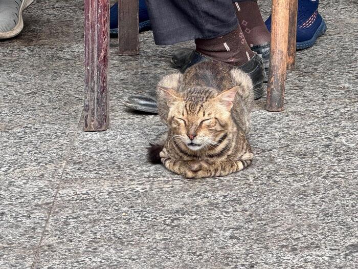 エジプト　カイロ　ハンハリーリバザール