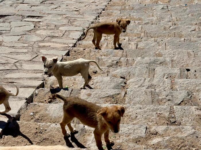 エジプト　アスワン　アスワンハイダム