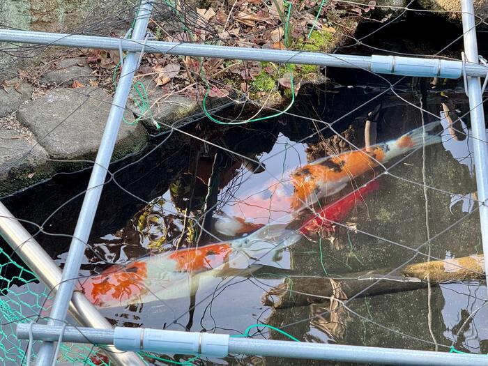 興德寺　興徳寺　大阪市　天王寺区