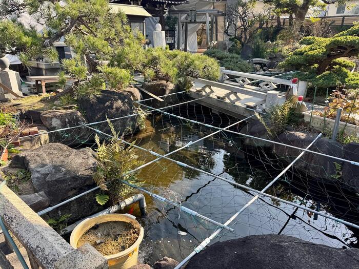 興德寺　興徳寺　大阪市　天王寺区