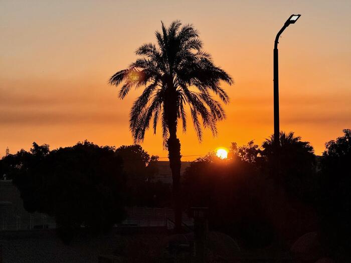 エジプト　阪急交通社　トラピックス　ツアー　コム・オンボ