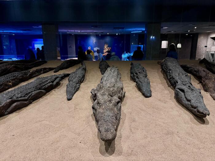 エジプト　コム・オンボ神殿