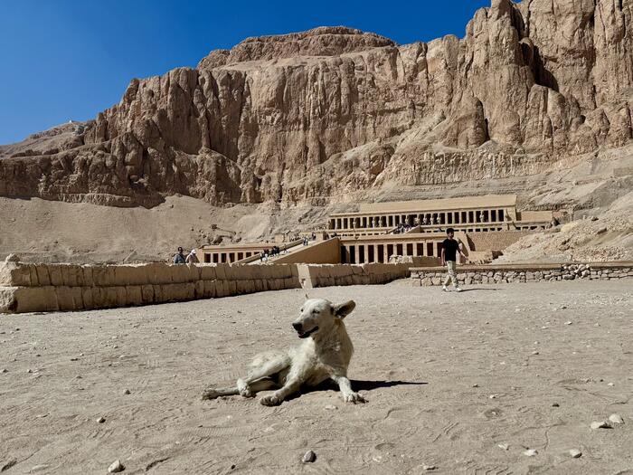 エジプト　ルクソール　ナイル川西岸　ハトシェプスト女王葬祭殿