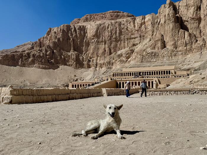 エジプト　阪急交通社　トラピックス　ツアー　セミラミスⅢ　ルクソール　ハトシェプスト女王葬祭殿