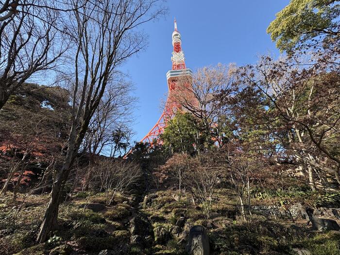 紅葉山（芝公園）　東京タワー