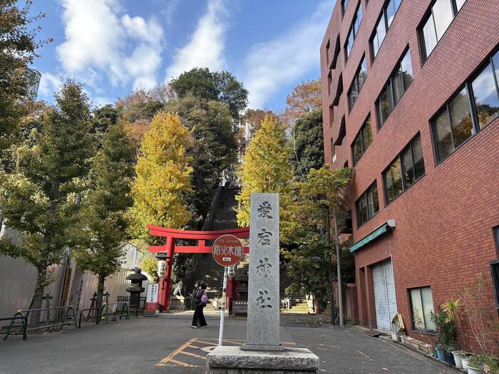 愛宕神社　鳥居　正面
