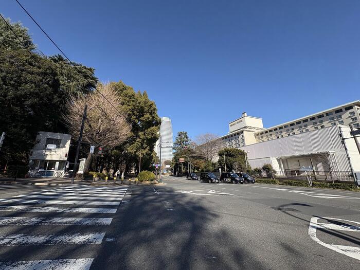 もみじ谷から虎ノ門方面　道路