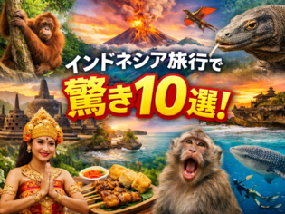 ブログイメージ