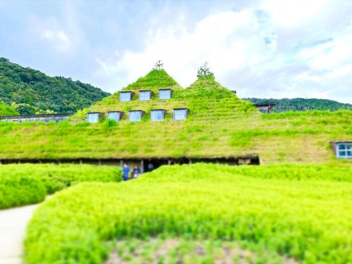 ラ コリーナ近江八幡　入り口