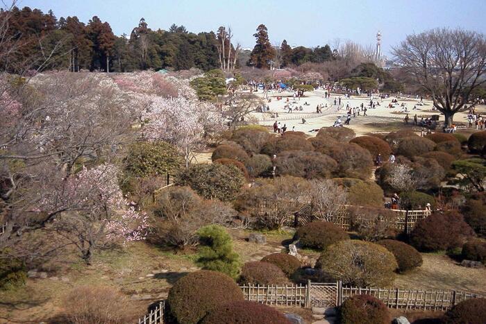 水戸藩第9代藩主の徳川斉昭が造園した偕楽園