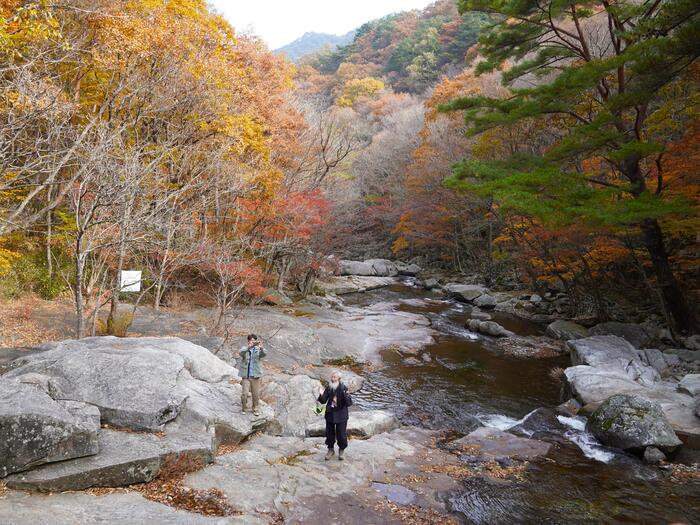 九千洞渓谷で紅葉トレッキング