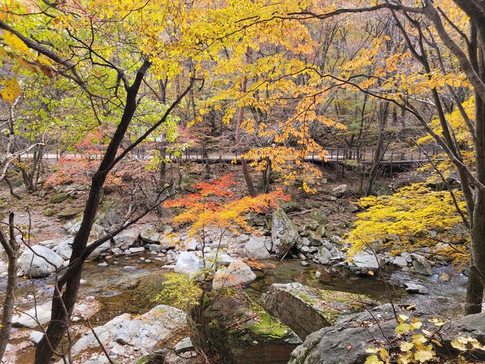 韓国　茂朱　高低差が少ないので、ひんやりとして気持ちのいい空気