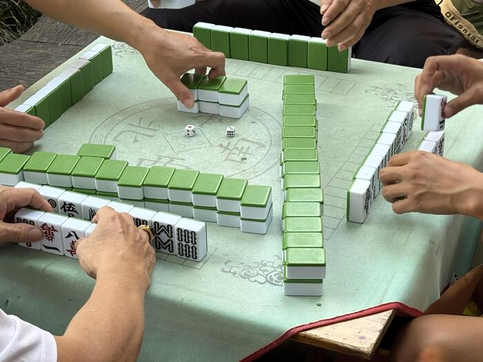 西双版納　中国　麻雀