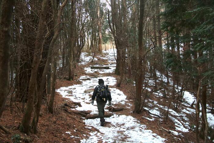 寧比曽岳｜愛知の自然の豊さを味わえる豊田最高峰