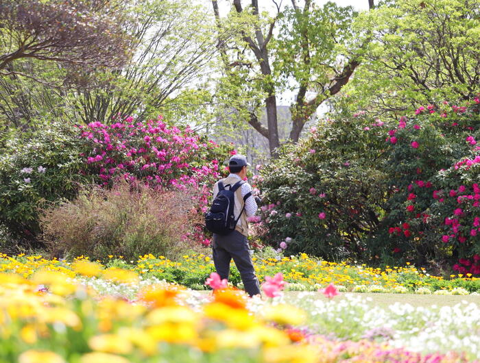 大船フラワーセンター　湘南モデルコース　花