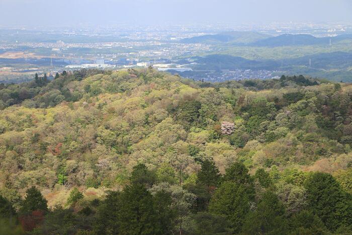 元岩巣山｜岩屋堂から登る、知る人ぞ知る絶景の低山