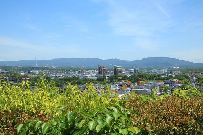 猪高緑地／親鸞山｜名古屋原生の自然が残る里山